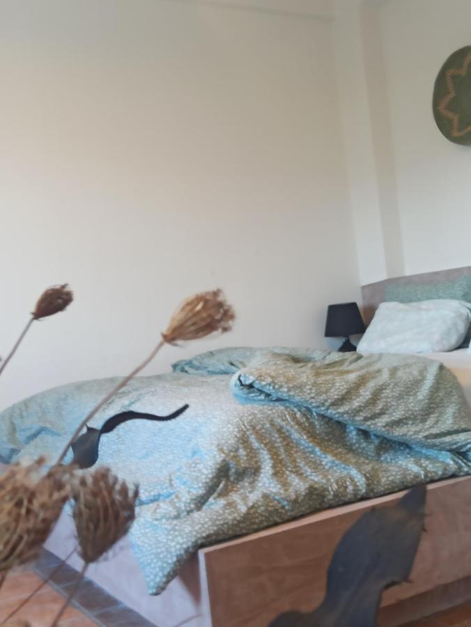 Knots Apartments Айос-Николаос Экстерьер фото